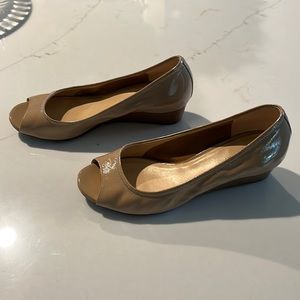 Cole Haan Nike air pump